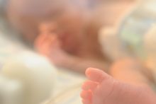 neonatologia-