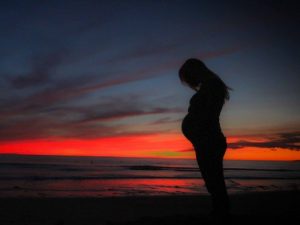 gestacao_placenta