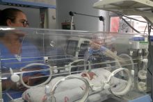 neonatologia-