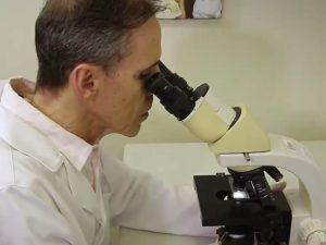 lamina-exame-a-fresco-ginecologia