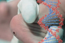 neonatologia-